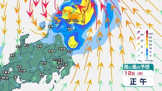 関東甲信のお盆期間の雨と風の予想は？ 午後を中心に激しい雷雨か　台風5号の影響で“大雨警報”の可能性も【11日～16日午後3時の雨と風のシミュレーション】