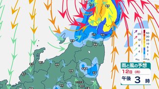 【台風5号】新潟県下越では12日昼過ぎ～13日昼前にかけて土砂災害などに注意・警戒を【1時間ごと・今後の雨風シミュレーション】