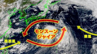 台風５，６，７，８号が立て続けに発生　日本南海上に形成された反時計回りの風の循環“モンスーンジャイア”が要因　今後も新たに「台風の卵」続々と発生の可能性も