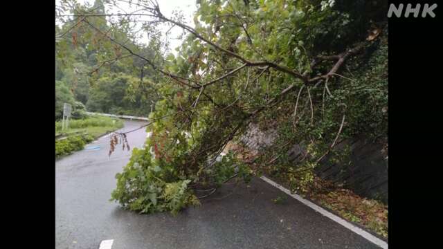 【台風7号 被害】千葉県で冠水や倒木被害