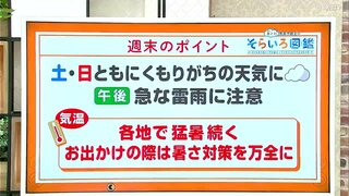 高知の天気　土日は雲の多い空模様に　猛暑は続く　東杜和気象予報士が解説