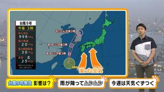 【近畿の天気】２０日（火）は午前を中心に激しい雷雨や突風に注意　今週はぐずついた天気と蒸し暑さが続く見込み