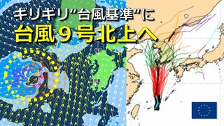 【台風情報】沖縄付近で台風9号（ジョンダリ）発生 “ギリギリ台風基準”に　東シナ海北上へ　今週は天気傾向に変化　“体温超え”酷暑落ち着くも全国的にスッキリせず　気象庁・欧米進路予想比較【雨・風シミュレーション】　