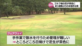 ゴルフ場関係者「本当に恵みの雨」　宮崎市でおよそ3週間ぶりの雨