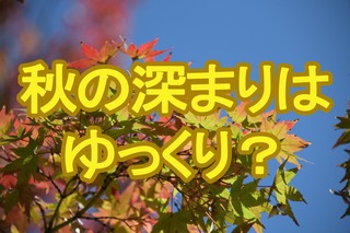 3か月予報発表　秋の訪れ・深まりは今年も遅め　9月・10月は関東以西の太平洋側中心に雨量が平年より多い見込み　tbc気象台