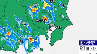 関東甲信ゲリラ雷雨のおそれ　きょう午後4時～午後11時雨シミュレーション（30分ごと）