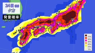 全国各地で局地的な激しい雷雨　関東甲信など大雨のおそれ　大気の状態が非常に不安定　あす日曜にかけて発雷確率も高く　落雷・突風・急な激しい雨に注意【30分ごと降水シミュレーション＆発雷確率】