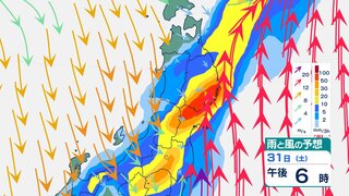 東北地方では29日夜遅くにかけて雷を伴い“滝のような”激しい雨の恐れ【2日(月)までの雨と風のシミュレーション・3時間ごと】