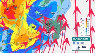 関東甲信の今後の雨と風は？ 29日にかけて“バケツをひっくり返したような”激しい雷雨か 【3時間ごと・2日(月)までの雨風シミュレーション・28日午後9時現在】