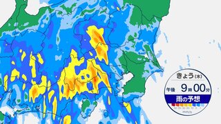 【台風10号】関東の予想雨量「災害引き起こすレベル」 ノロノロ台風の進路は東へ　東京は週末も天気の急変に警戒を【東京の雨・風予想シミュレーション】