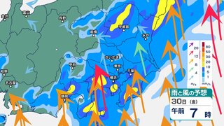 関東甲信では“滝のように降る”激しい雷雨の恐れ　30日昼前にかけて土砂災害に厳重警戒【1時間ごと・31日(土)午前6時までの雨風シミュレーション・29日午後7時現在】