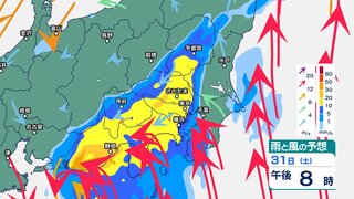 関東甲信では“バケツをひっくり返したような”雷雨が続く？ 31日明け方にかけて土砂災害に厳重警戒【1時間ごと・1日午前6時までの雨風シミュレーション・30日午後6時現在】