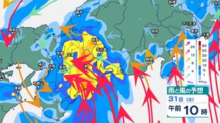 東海地方では30日夜から31日午前中にかけて線状降水帯発生の恐れ　今後も非常に激しい雨が降り大雨か　土砂災害などに警戒を【1日午前3時まで・1時間ごとの雨風シミュレーション・30日午後5時現在】