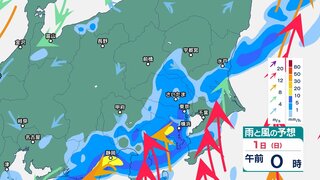 関東甲信地方ではあす1日の午前中にかけて線状降水帯発生の恐れ　あす1日の夕方にかけて土砂災害に厳重警戒【1時間ごと・2日午前6時までの雨風シミュレーション・31日午後7時現在】