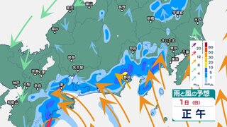 東海地方では1日午前中にかけて線状降水帯発生の恐れ　断続的に“滝のような”非常に激しい雷雨か【2日午前6時まで・1時間ごとの雨風シミュレーション・31日午後7時現在】