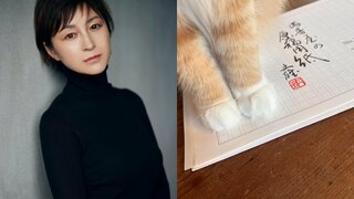 【広末涼子】愛猫の足元を紹介「うちの小さな"かまってさん"」"執筆を邪魔"