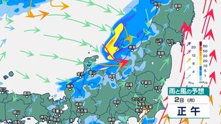 北陸地方は低気圧の影響で雷を伴った“バケツをひっくり返したような”激しい雨の恐れ　土砂災害や浸水などに注意・警戒を【3日午前6時まで・1時間ごとの雨と風のシミュレーション】