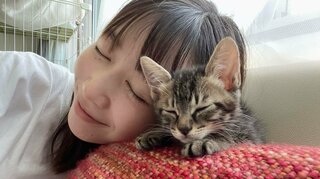 【岡本夏美】保護猫の里親に「新しい家族をご紹介します！」