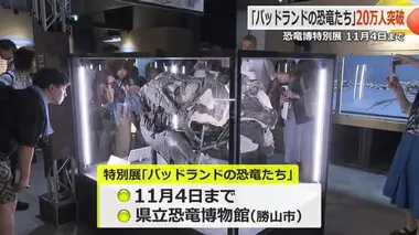 20万人突破　特別展「バッドランドの恐竜たち」　“聖地”北アメリカで発掘された貴重な化石など60点を展示　福井県立恐竜博物館