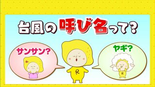 「ヤギ」「サンサン」「ウサギ」台風に付けられる呼び名って何？