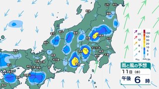 10日夜のはじめ頃にかけて関東甲信ではバケツをひっくり返したような激しい雷雨の恐れ　東海でも10日夜遅くにかけて激しい雷雨か【14日(土)までの雨のシミュレーション・9日午後5時更新】