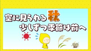 猛暑の中でも空で見つかる「秋」　季節ごとの雲の見分け方　少しずつ季節は進んでいます