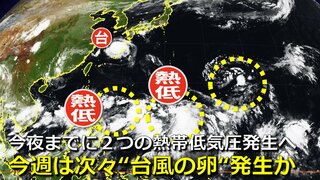 【台風情報】今夜までに「２つの熱帯低気圧」発生へ　次の「台風14号」か　今週は次々と“台風の卵”発生　本州に接近・秋雨前線も南下で大雨おそれも　気象庁・アメリカ・ヨーロッパ進路予想比較【20日まで雨・風シミュレーション】