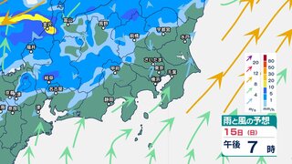 関東甲信では15日昼過ぎから16日にかけて“バケツをひっくり返したような”激しい雷雨か　“警報級大雨”の恐れも【16日午後9時までの雨風シミュレーション・15日午前11時半更新】