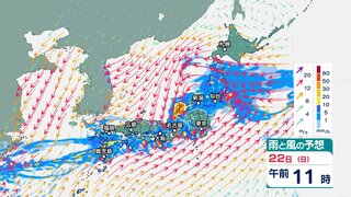 九州～東北で大雨の恐れ　24時間降水量は四国250ミリ、九州北部200ミリ予想　さらに日本海側は最大瞬間風速35メートルの強風か【今後の雨と風のシミュレーション・21日午後7時半更新】