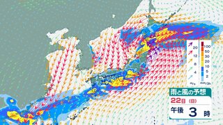 【関東甲信大雨情報】あす未明から昼過ぎにかけて雷を伴った“激しい雨”の降る所がある見込み　あす1時間雨量　関東南部　40ミリ  甲信40ミリ（多い所で）“警報級の大雨”の可能性も