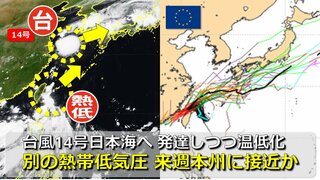 【台風情報】台風14号はやや発達しつつ温帯低気圧へ “秋雨前線と一体化”して山陰沖に　気象庁進路予想のその先は？ 沖縄周辺には「別の熱帯低気圧」25日以降に本州接近も　気象庁・アメリカ・ヨーロッパ進路予想比較【26日(木)まで雨・風シミュレーション】