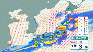 【大雨情報】西日本から東日本の日本海側　雷を伴い“非常に激しい雨”災害級の大雨のおそれ  太平洋側でもさらに雨量増　あすも西日本から東北地方にかけて非常に激しい雨が降る見込み　土砂災害や河川の増水や氾濫に厳重に警戒【雨風シミュレーション】