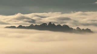 雲海に浮かぶ「天空の城」出現 福井・奥越の「越前大野城」にシーズン到来