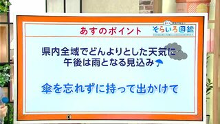 高知の天気　１７日は全域でどんよりした天気に　午後は雨の降る所も　東杜和気象予報士が解説