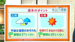 高知の天気　土曜日は雨　雷雨のおそれも　日曜日は晴れて行楽日和に　東杜和気象予報士が解説