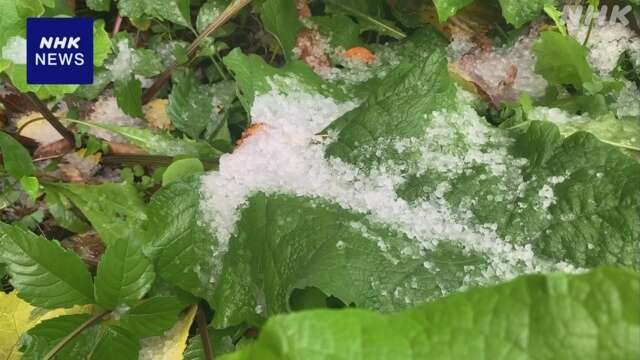 北海道 札幌などで「初雪」観測 路面の状況に注意を