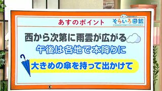 高知の天気　１１月１日は全域で雨に　大きめの傘を持って出かけて　東杜和気象予報士が解説