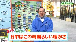 「午後は薄雲が増えて日差しがぼんやりしてきますが傘の出番はなし。最高気温は15℃くらいまで上がる」tbc気象台　14日