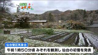 【速報】仙台で初雪　平年より2日遅く去年より6日早く　仙台管区気象台