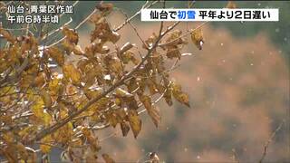 「あす20日の朝は更に冷え込みそう」19日未明に仙台で初雪　平年より2日遅く去年より6日早い　tbc気象台