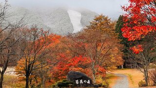 【初冠雪】広島県内で今季初めての雪　中国山地では各地で初冠雪　紅葉と雪のコラボも　例年より10日ほど遅く　冬型の気圧配置で上空にはこの秋一番強い寒気流入で