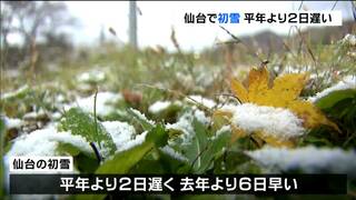 「そろそろかなって思っていた」仙台で初雪　平年より2日遅く去年より6日早い　初雪の観測、今年から自動観測に　tbc気象台