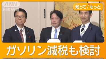 政府の経済対策に「103万円の壁」　引き上げ明記で合意　自公が国民の主張受け入れ