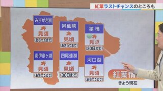 今週末は晴れても風が冷たい予想　県内の紅葉の見頃も含め　気象予報士が解説　山梨　【天気】